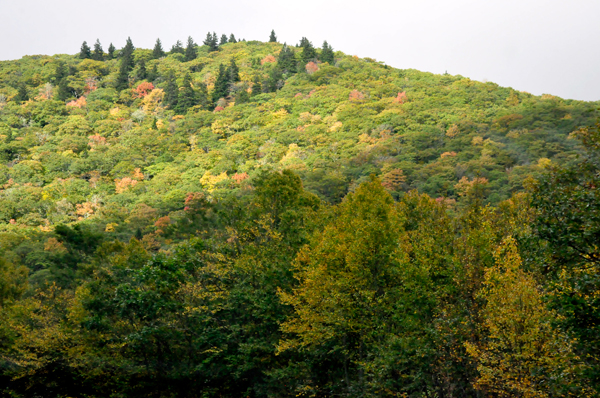 fall colors on The Blue Ridge Parkway
